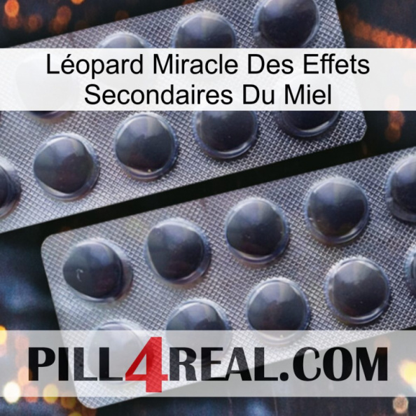 Léopard Miracle Des Effets Secondaires Du Miel 31.jpg